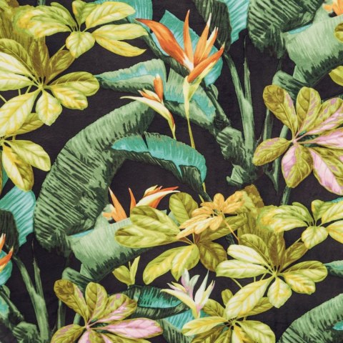 D91/Z/LIVY/CZA+Z 140X250 Ösen