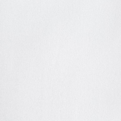 Vorhang PIERRE/B 140X250 Ösen