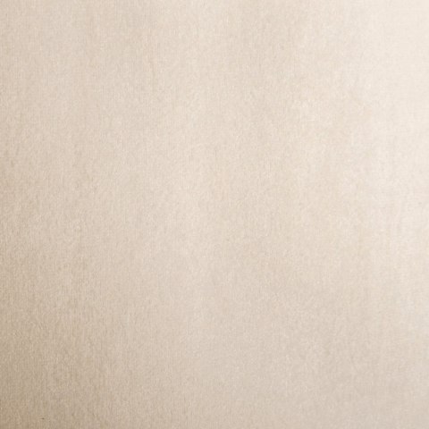 Vorhang RIA/J.BEŻ 140X250 PRZE 10