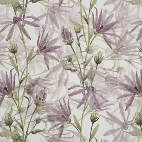 Vorhang TESSA/B+FIOL 140X250 Ösen